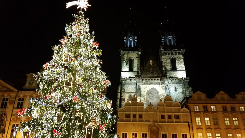 prague old town square christmas tree and tyn church at night