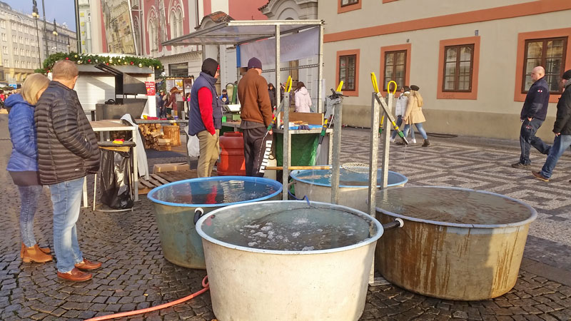 buying carp fish at christmas in prague